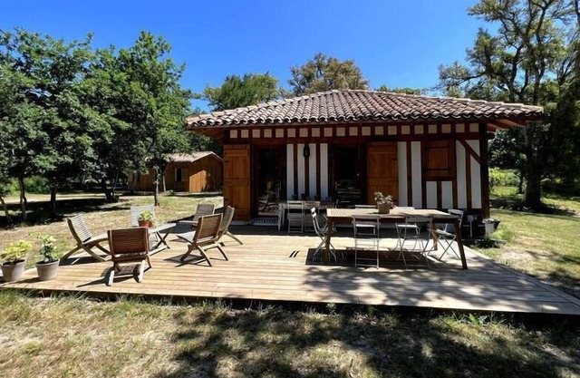Landes cocoon with outbuilding and swimming pool