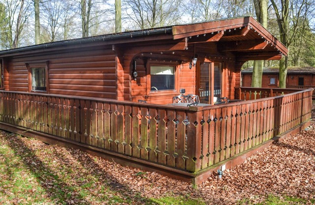 Larch Lodge - UK37187