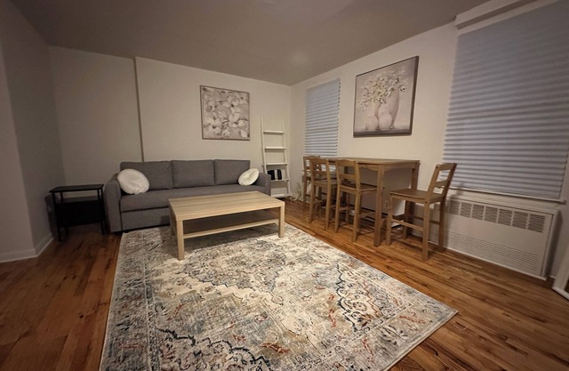 Large 2-bedroom apartment with AC in the heart of Fort Greene