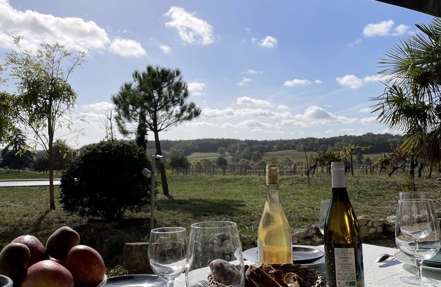 Large family home surrounded by vineyards