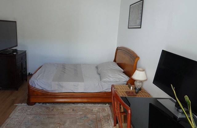 Large room with garden, near Paris center