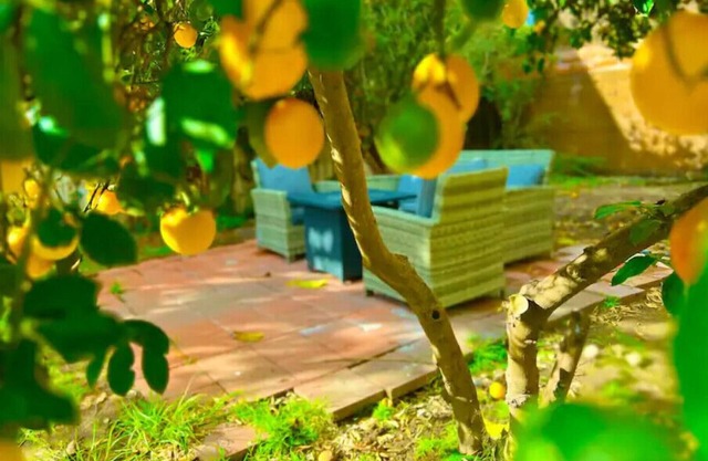 Large Yard* Rare Find* Americana on Brand