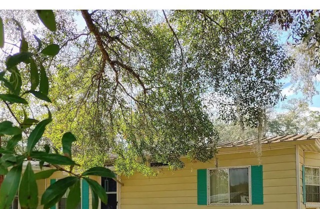 Latitude 28 a little Patch of Paradise!