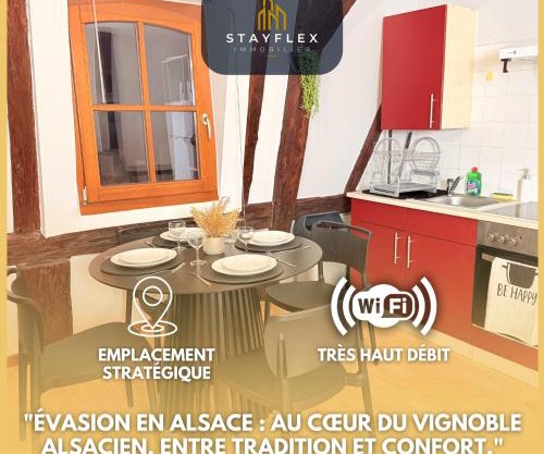 Le Cocon Alsacien au cœur de Rouffach