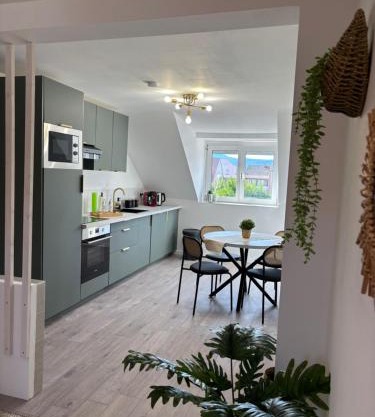 Le Col'Vert - Appartement 50m2 - Colmar Centre