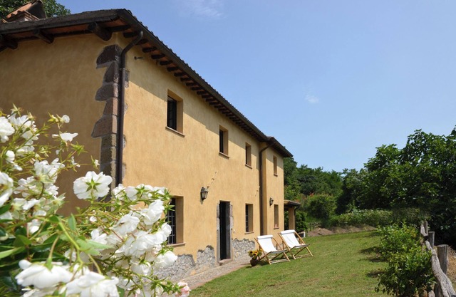 Le Coste (Orvieto) suggestive panorama, garden, swimming pool on the farm