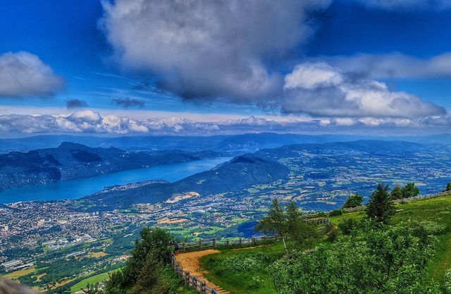 Le Cygne : les perles de Sophie