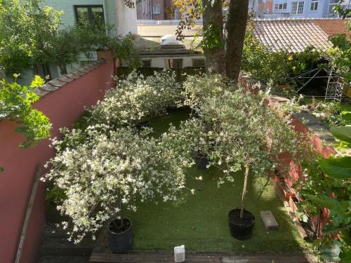 Le Flagey green place