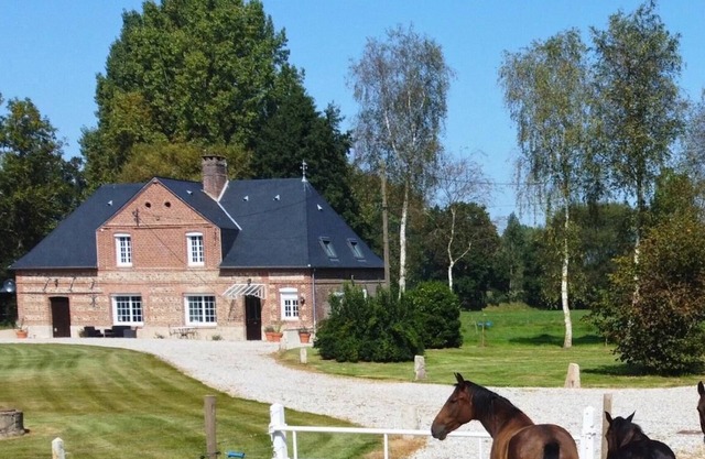 Le Gîte du Moulin - SAINT PIERRE LE VIEUX