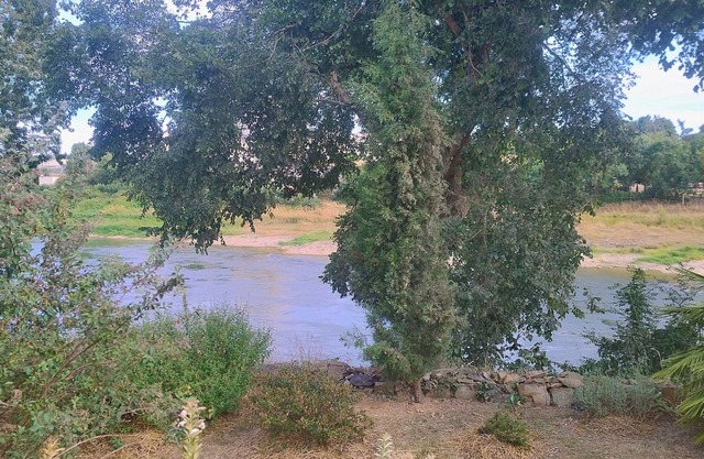 Le gîte de l'île du Buzet, facing the Loire and surrounded by nature. A haven of peace.