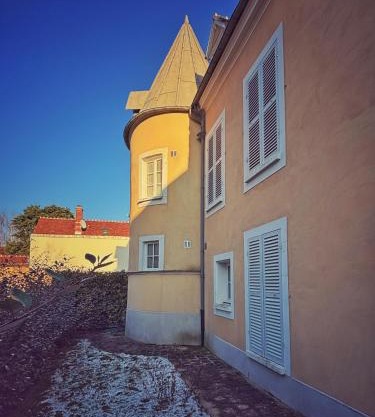 Le jardin de l'arbre sec + parking, proche château.
