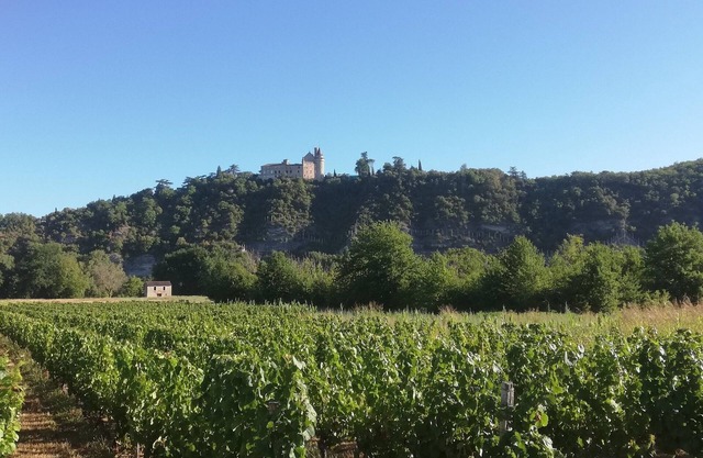 Le Joac, Maison au Calme Tout Proche de Cahors