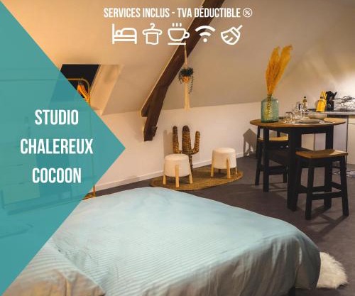 Le Nid Cocoon Netflix Proche Centre-Ville