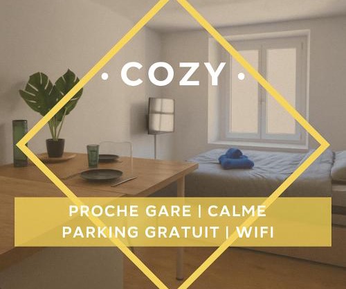 Le Nid Cozy à 2 Pas de la Gare St-Dié - Wifi - Calme