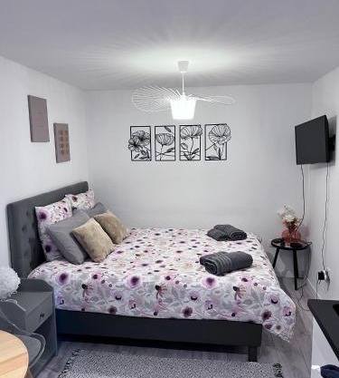 Le Patcho Charmant studio Confortable & Chaleureux , idéalement situé proche centre ville Quartier Neustadt Tribunal, Contades