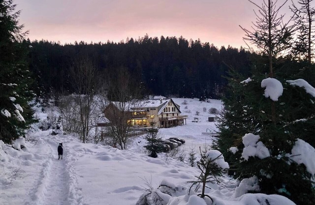 Le Perchoir 9 people, Grand Valtin, full nature