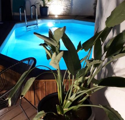 Le petit coin de Provence