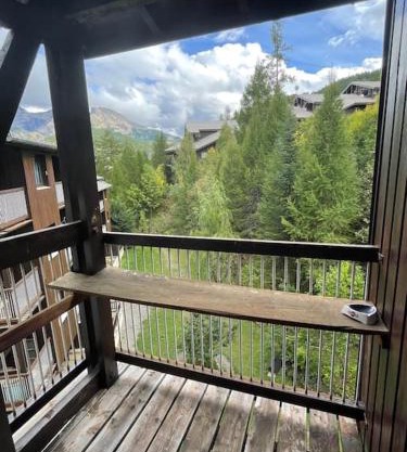 Le Seignus d'Allos T2 30m2. Aux pieds des pistes.