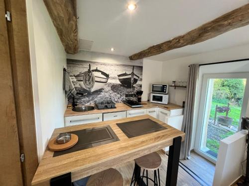 Le studio des oiseaux