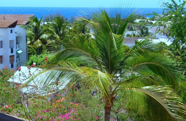 Le ti 'boucan - Boucan canot