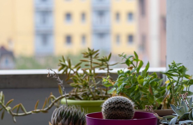 Le Tre Torri Apartment - TWA