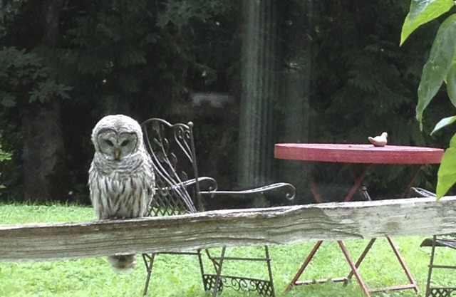 Leisurely storybook country house near town