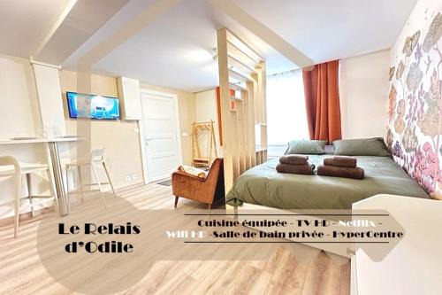 LeRelaisdOdile Studio - Le charme au cœur de ville - Ideal Couple & Travailleurs