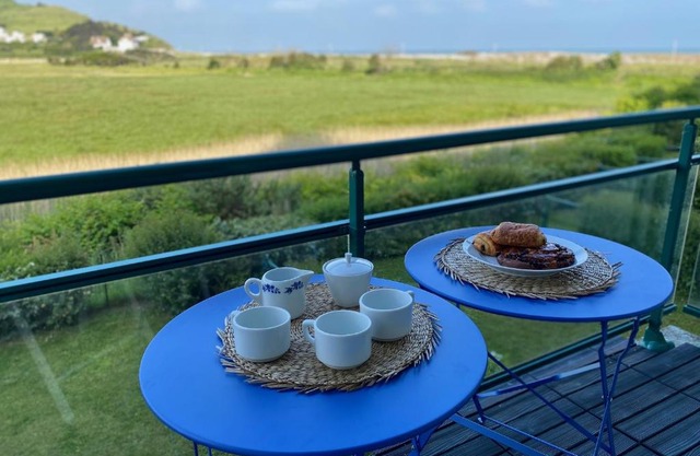 Les cygnes de Criel-sur-Mer