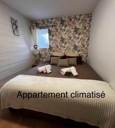 Les Gîtes de la Bergerie - Boule de Neige