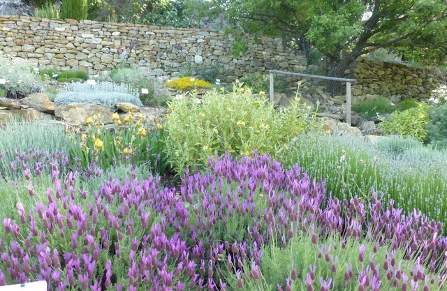 Les Jardins de L'abbaye