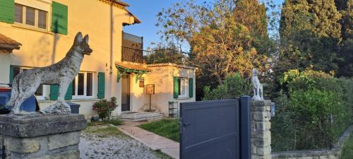 Les loups blancs en Provence