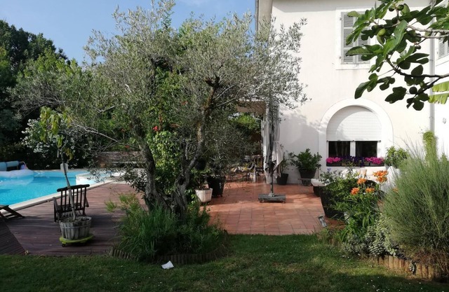 Les Oliviers - DAX - City Break