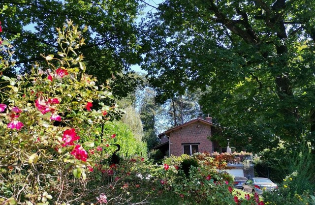 Les Sittelles - Tilff