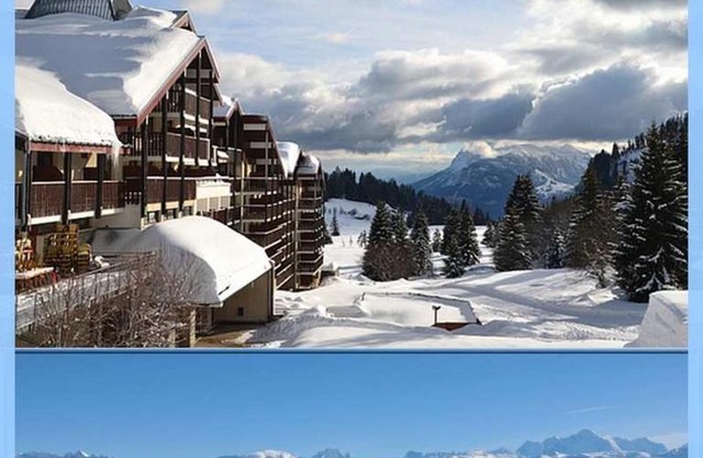 Les Terrasses du Mont blanc