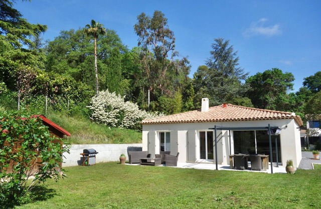 Les Yuccas de Saint Paul de Vence