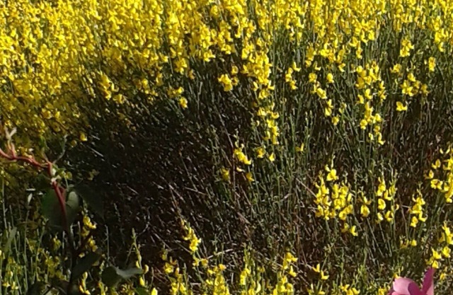 Lieu Unique Atypique Écologique Avec une vue un Espace et une Énergie Synergique