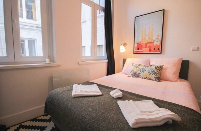 Lille Centre - Nice, cozy and functional studio