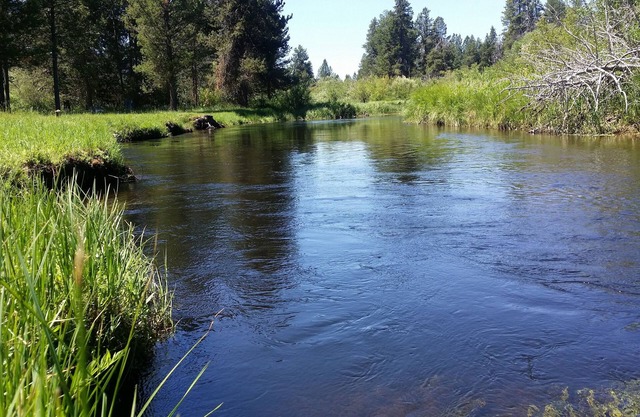 Little Deschutes River Family Retreat - Fun for the whole Family!