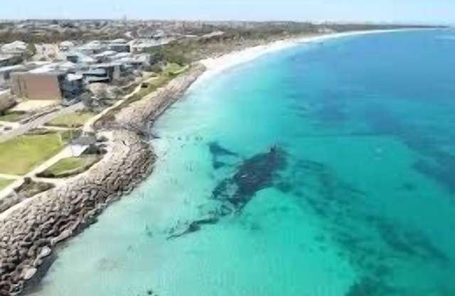 Live on the Beach In Fremantle - Peaceful Seaside Pool with a View