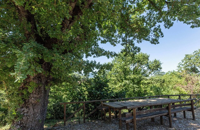 Lo Specchio Di Alice