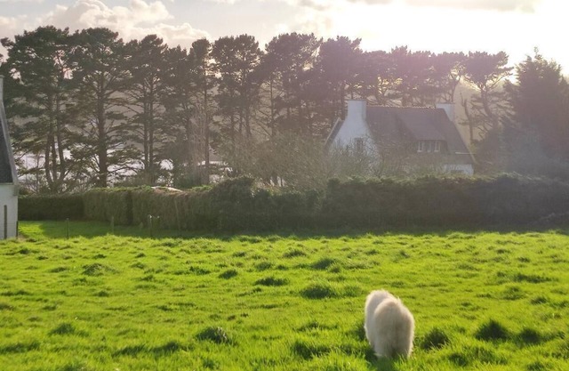 Loarwenn, spacious villa overlooking the Aber wrach