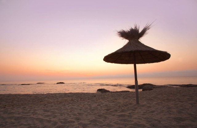 Location Avec VUE MER Dans UN Petit Immeuble