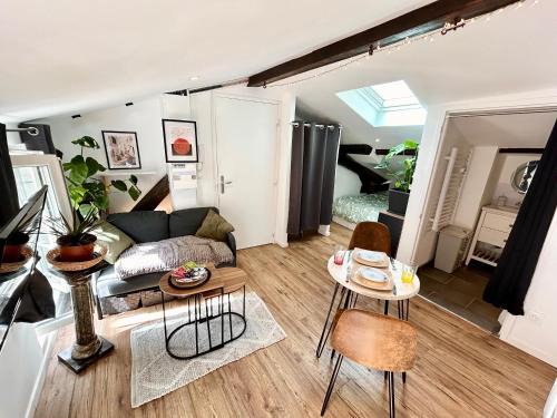 Loft Hortensia Climatisé hyper Centre Castres