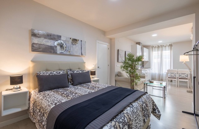 LOFT IN THE CENTER OF GRANADA (RECOGIDAS)