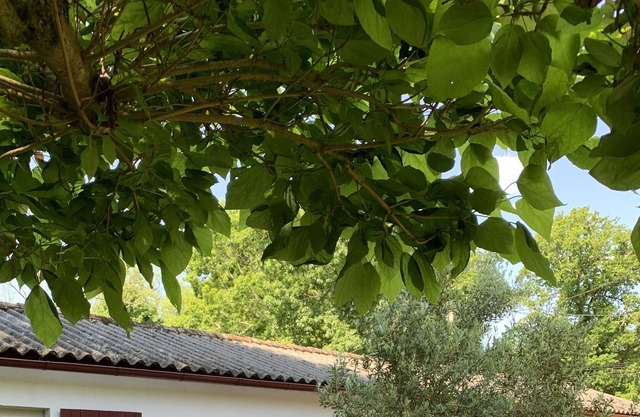 Logement Avec Jardinet Entre Terre et mer