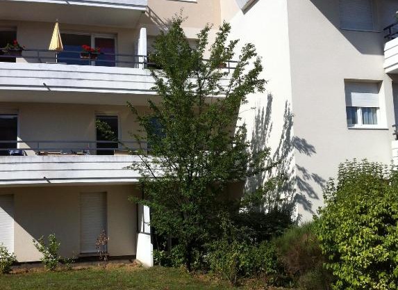 Logement type studio 1 piece proche zénith