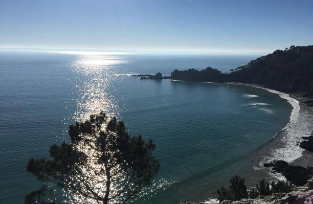 Longère bretonne à Locronan, Pets welcome!