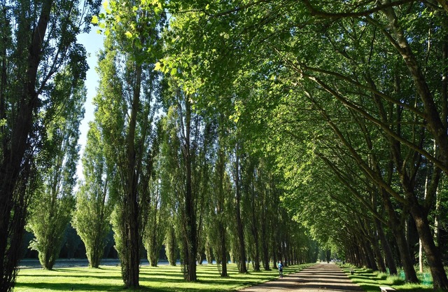 Louer un Charmant 3 Pièces de 62m²