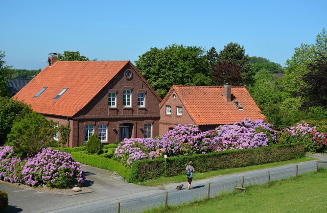 Lovely 1 room apartment by the North Sea with terrace and garden