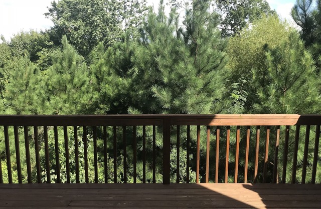 Lovely 4 bed/3.5 bath Townhome in the Heart of Cary